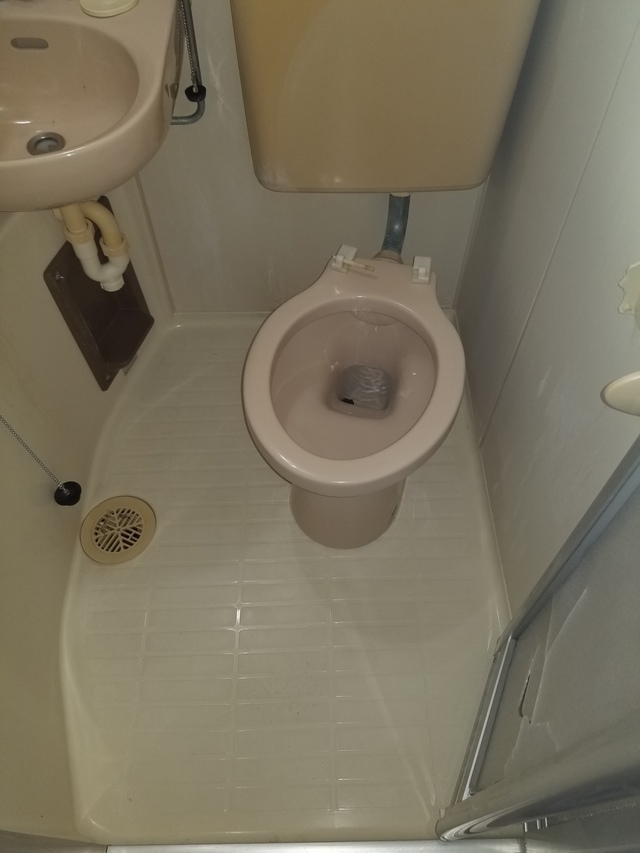 ゴミ屋敷清掃センターではゴミ屋敷のトイレや浴室のクリーニングの専門業者ですのでお悩みご相談下さい。