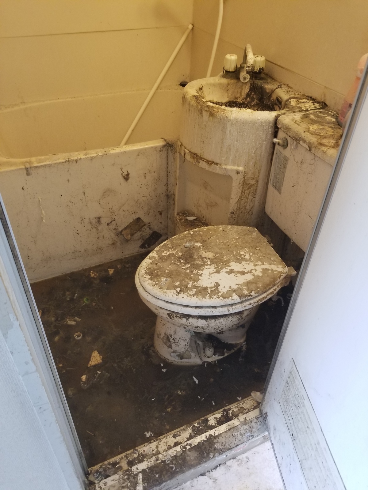所沢市でトイレ清掃や汚物清掃やトイレの詰まり解消はゴミ屋敷清掃センターにご相談下さい。