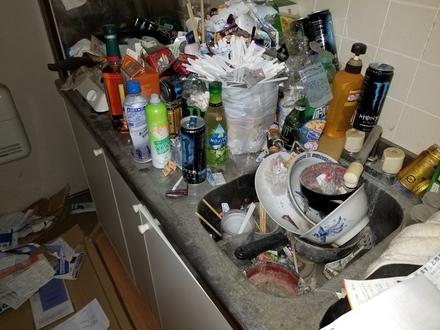 川口市でキッチンのゴミ処分とクリーニングは専門業者ゴミ屋敷清掃センター