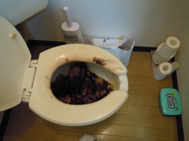 汚れたトイレは綺麗にお掃除致します。