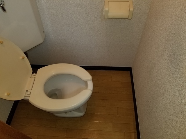 人糞で汚れたトイレ清掃はゴミ屋敷清掃センターにお任せ下さい。