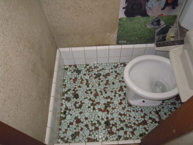 トイレはかなり綺麗になりました。臭いもほとんどありませんでした。お客様はとても喜んでいました。このような糞・尿の清掃は専門業者にお任せ下さい。